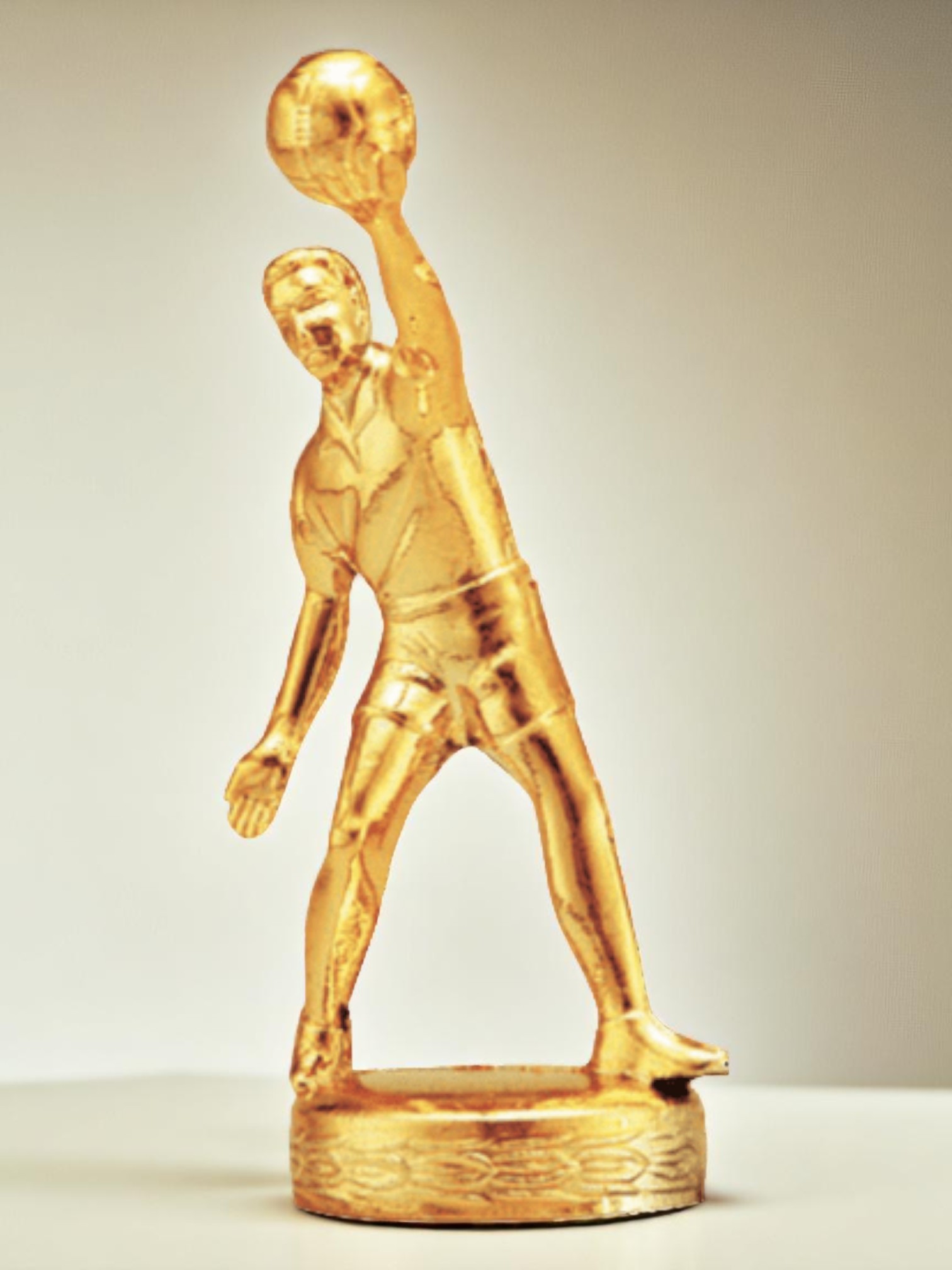 バレーボール（男）